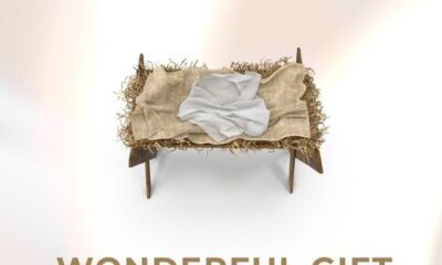 Wonderful Gift - Naomi Raine