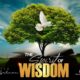 The Spirit Of Wisdom - Apostle Joshua Selman