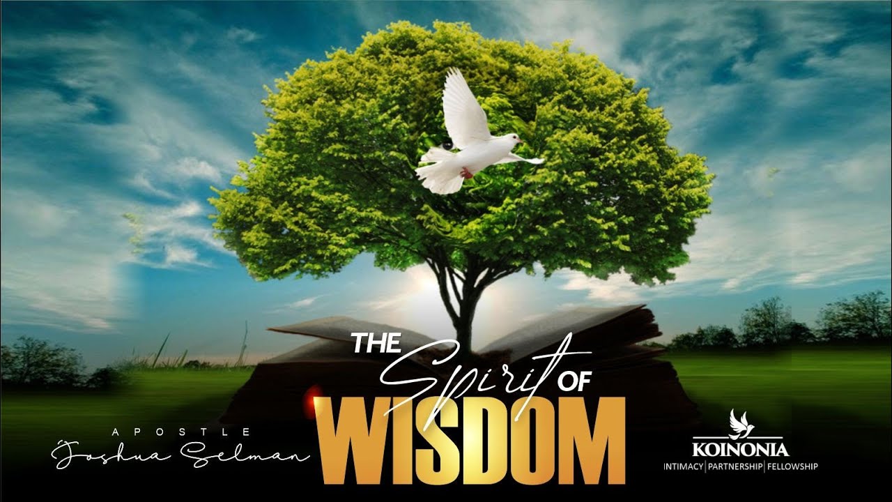 The Spirit Of Wisdom - Apostle Joshua Selman