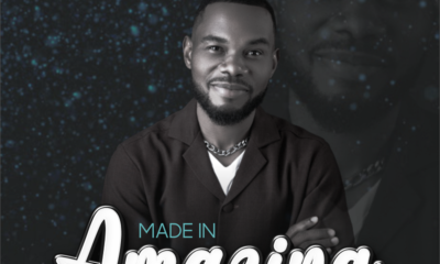 Made in Amazing by Timothy Bassey