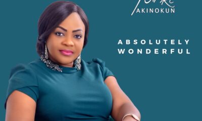 Absolutely Wonderful – Funke Akinokun