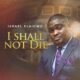 I Shall Not Die by Israel Elaigwu