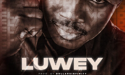 Luwey by Flamezy Diamond