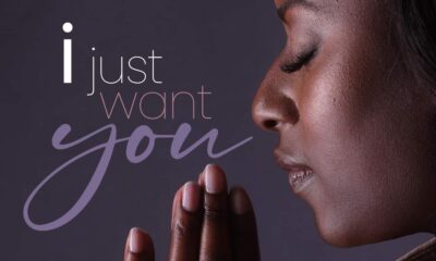 I Just Want You By Sarah Wonders