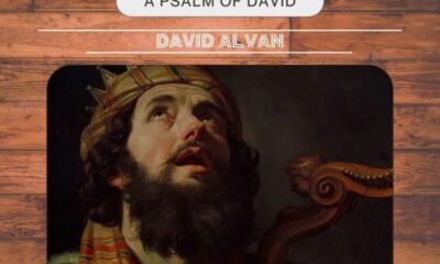 Under The Shadow By David Alvan