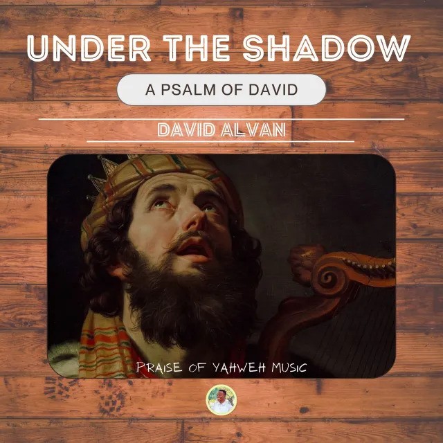 Under The Shadow By David Alvan