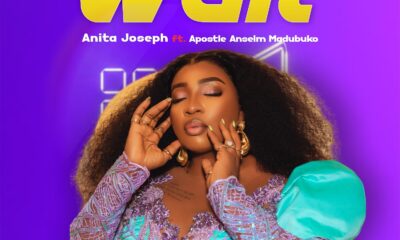 Wait by Anita Joseph