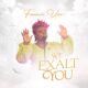 We Exalt You - Favour Uzo