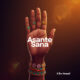 Asante Sana - I-fee Sound Artwork