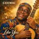 No One Like You – Ceewai Artwork