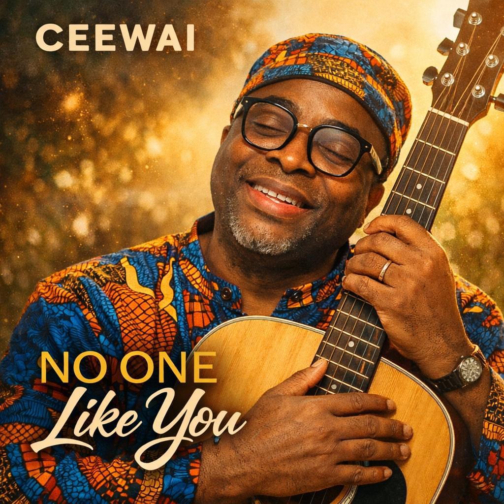 No One Like You – Ceewai Artwork